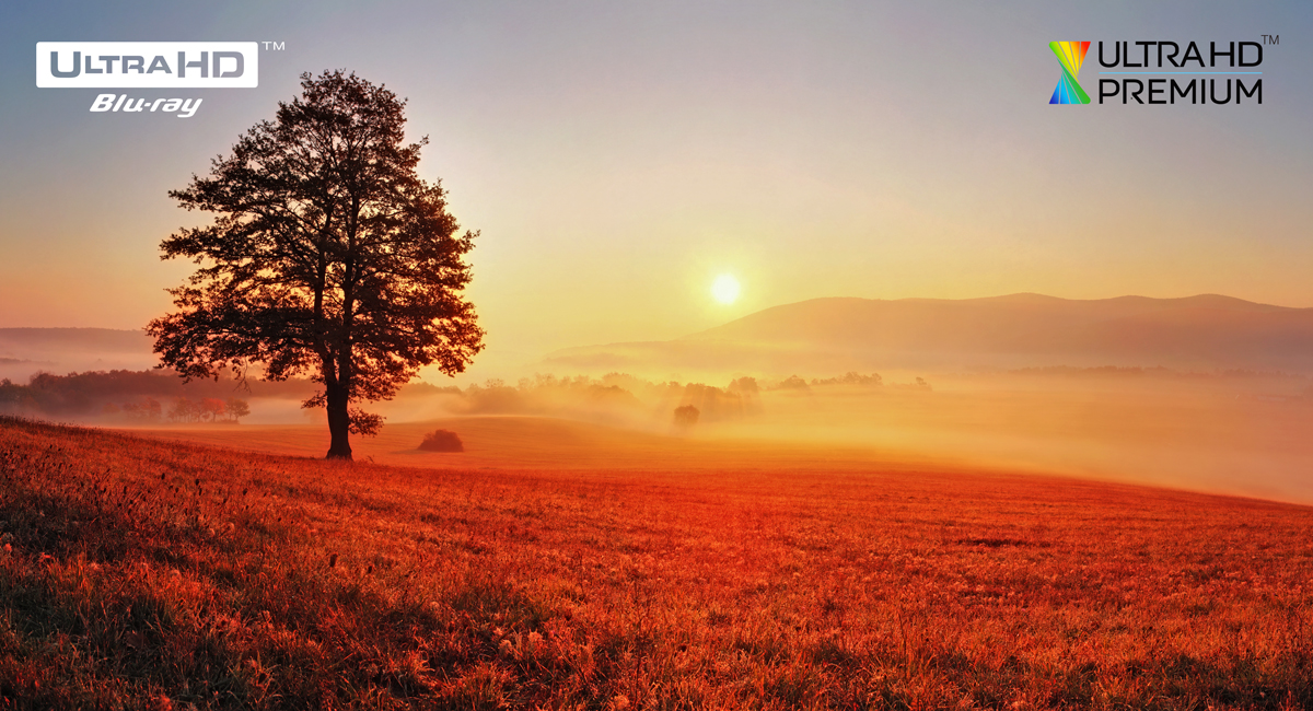 
Une toute nouvelle expérience 4K